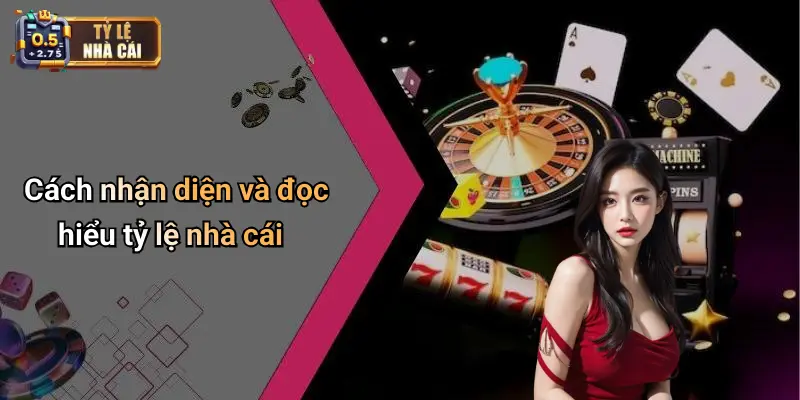 Cách nhận diện và đọc hiểu tỷ lệ nhà cái
