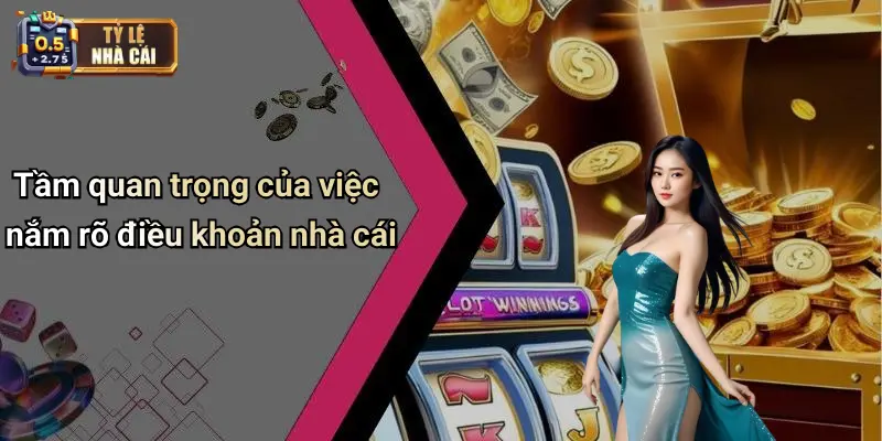 Tầm quan trọng của việc nắm rõ điều khoản nhà cái