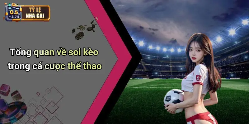 Tổng quan về soi kèo trong cá cược thể thao