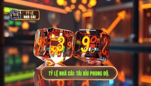 Tài Xỉu Theo Phong Độ: Nghệ Thuật Đọc Vị Trận Đấu Từ Chuyên Gia